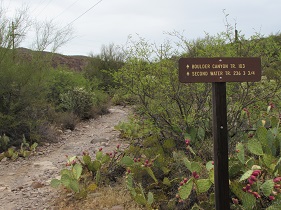 Canyon Lake