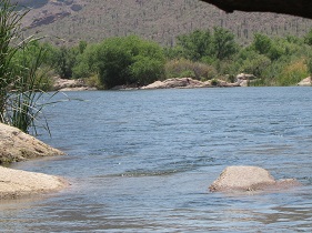 Salt River